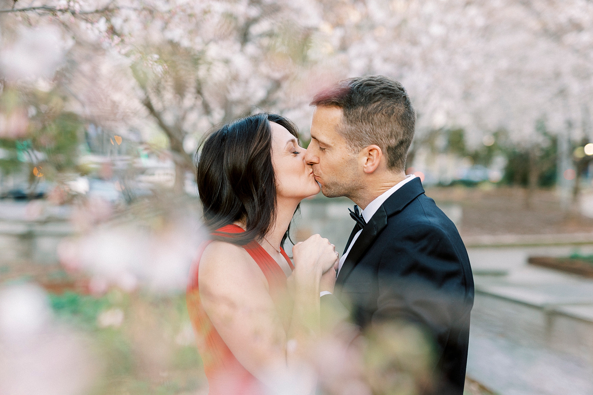 engaged couple kisses between branches of cherry blossom tree