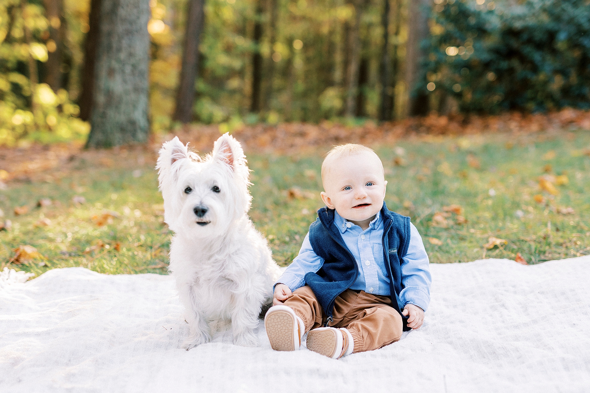 toddler sits with white dog during family photos in the fall 