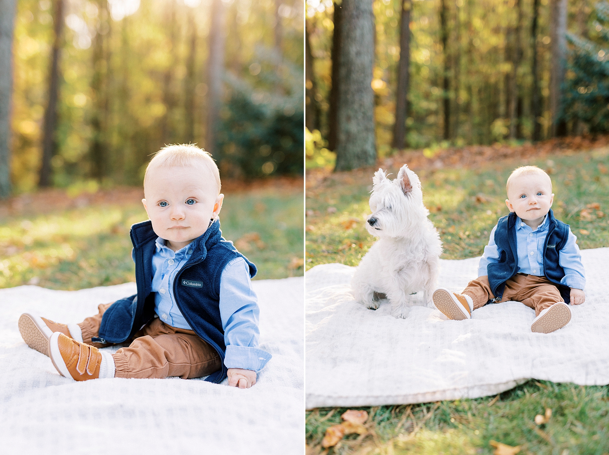 baby boy in blue vest and tan pants sits on white blanket with dog during fall family portraits at Charlotte home