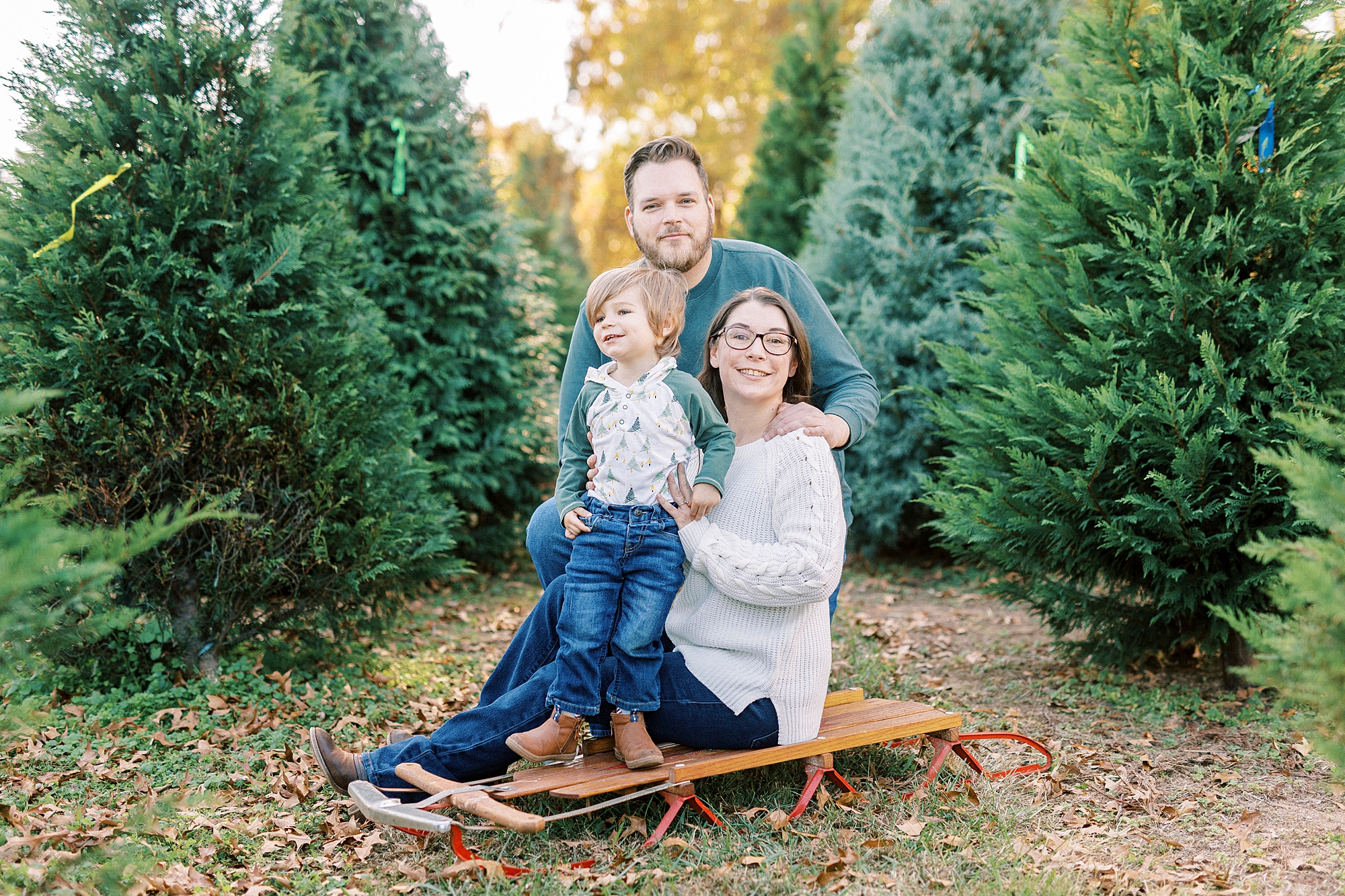 parents sit on sled holding toddler son during family photos on tree farm