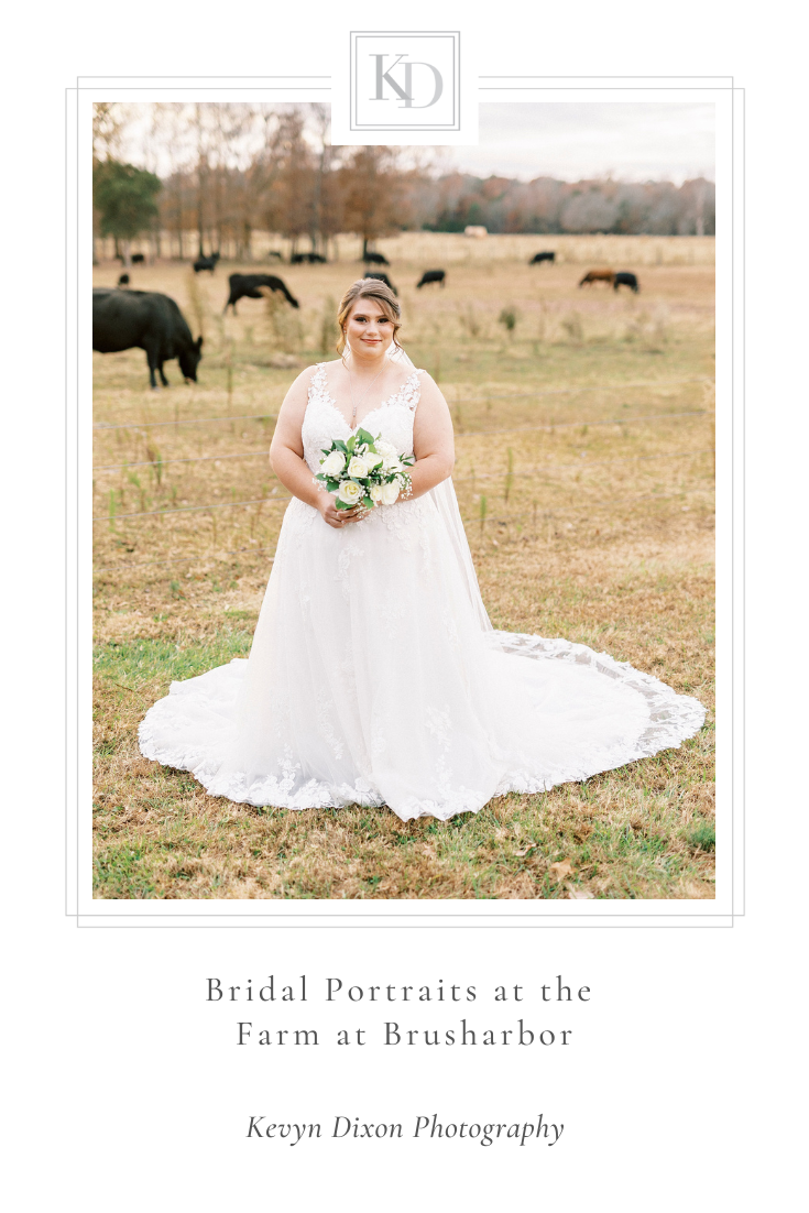 The Farm at Brusharbor Bridal Portraits in the fall with bride-to-be and NC wedding photographer Kevyn Dixon Photography