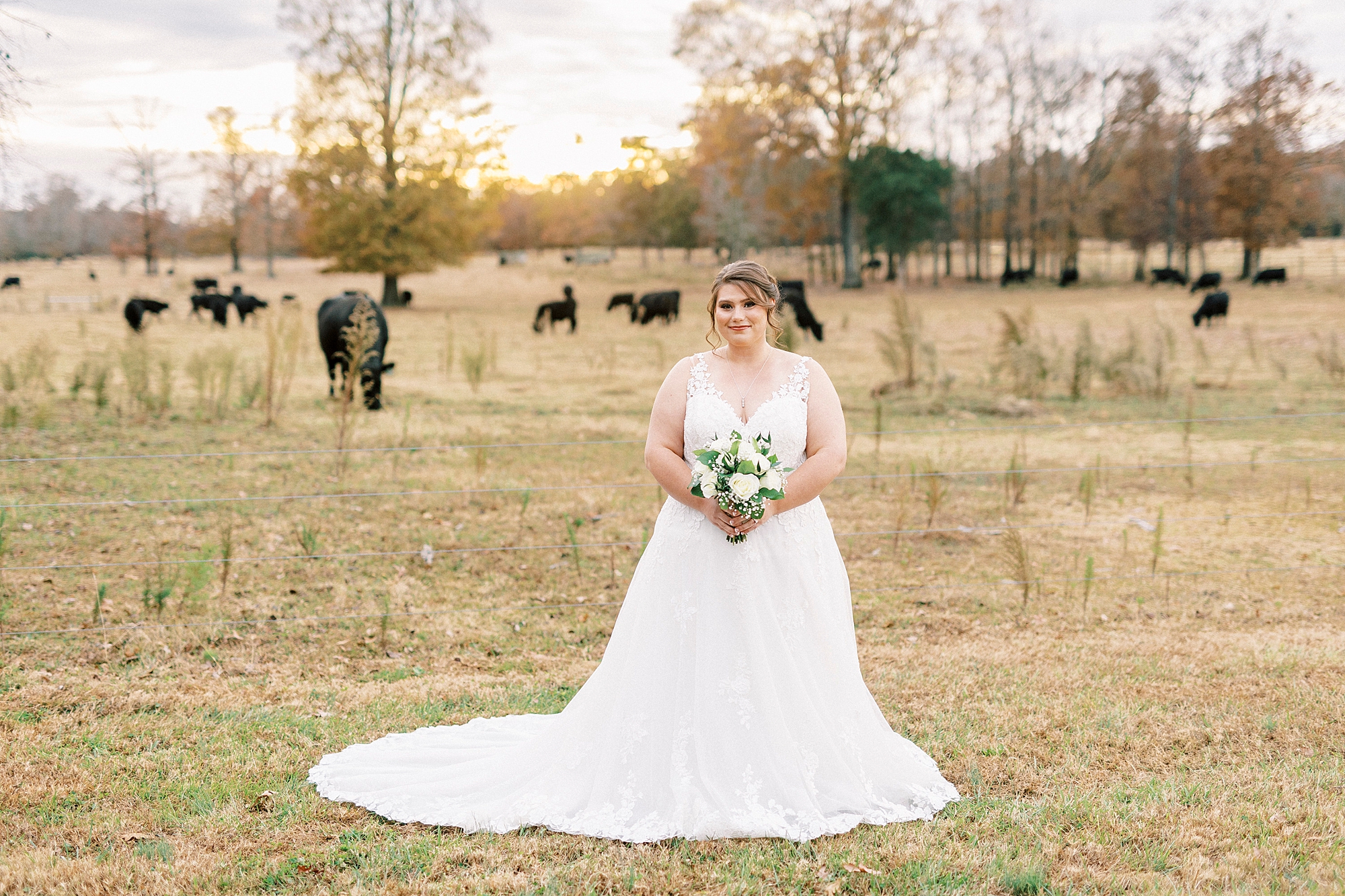 bride holds bouquet of white flowers in front of cows at the Farm at Brusharbor