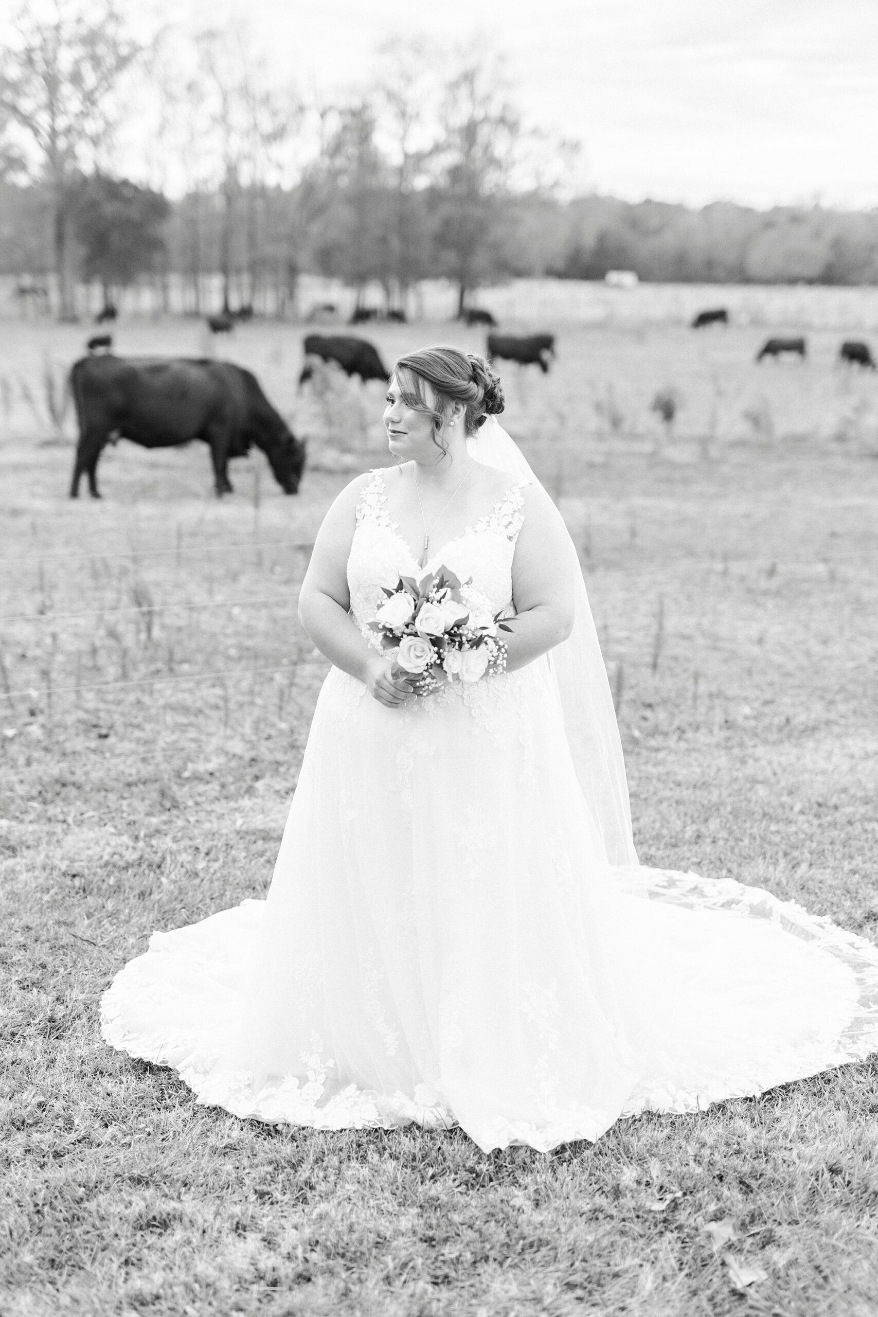 bride looks over shoulder holding bouquet in front of cows at the Farm at Brusharbor