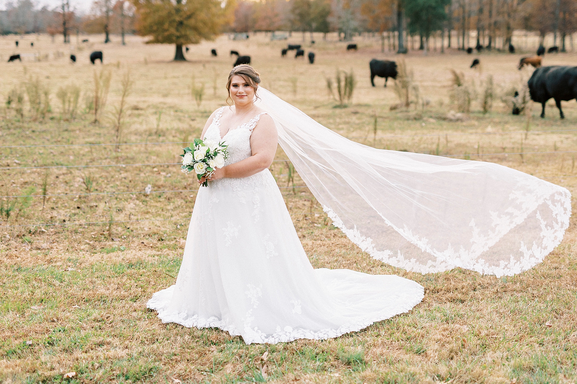 bride stands in field at the Farm at Brusharbor with cows behind her