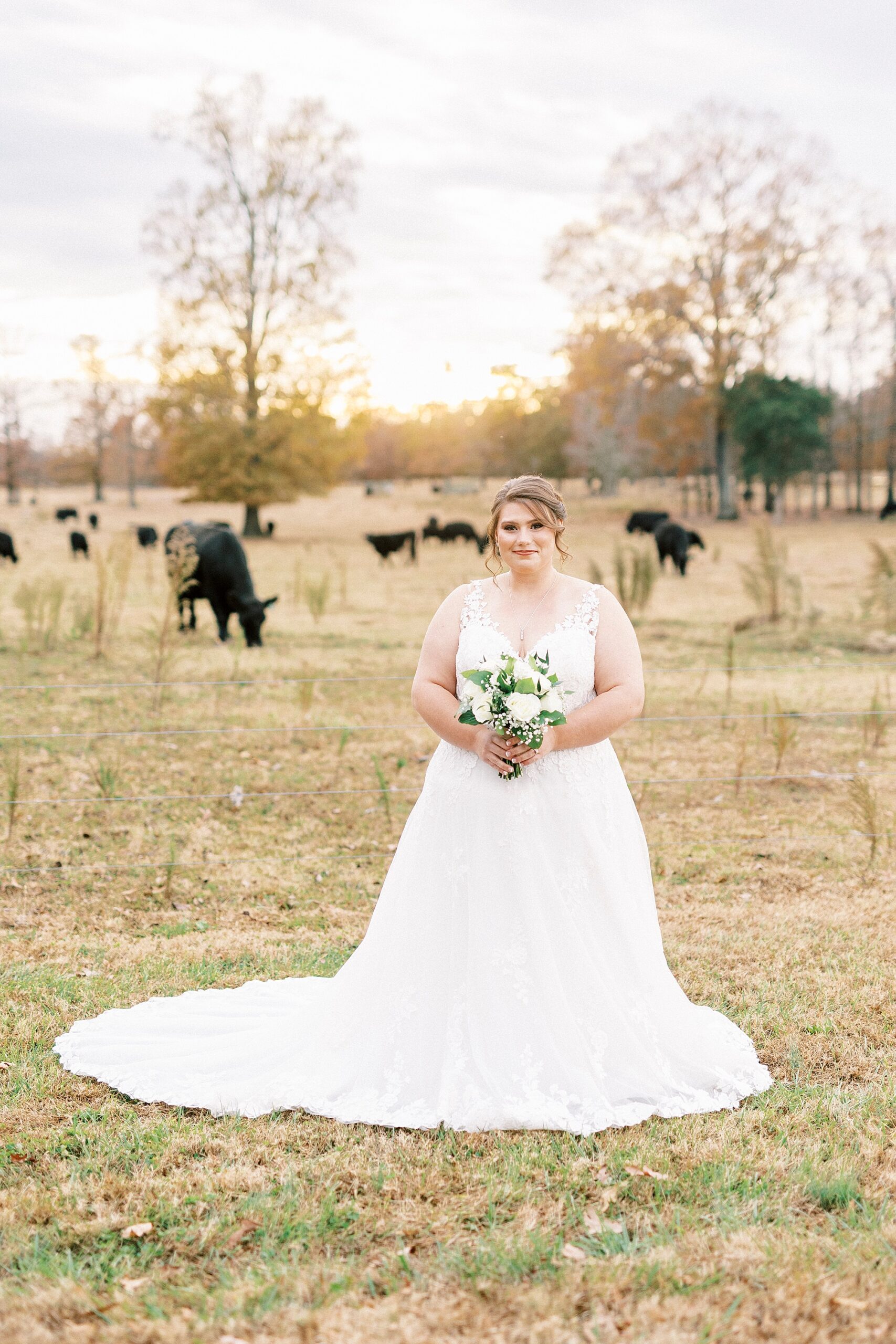 bride stands holding bouquet in front of her by herd of cows