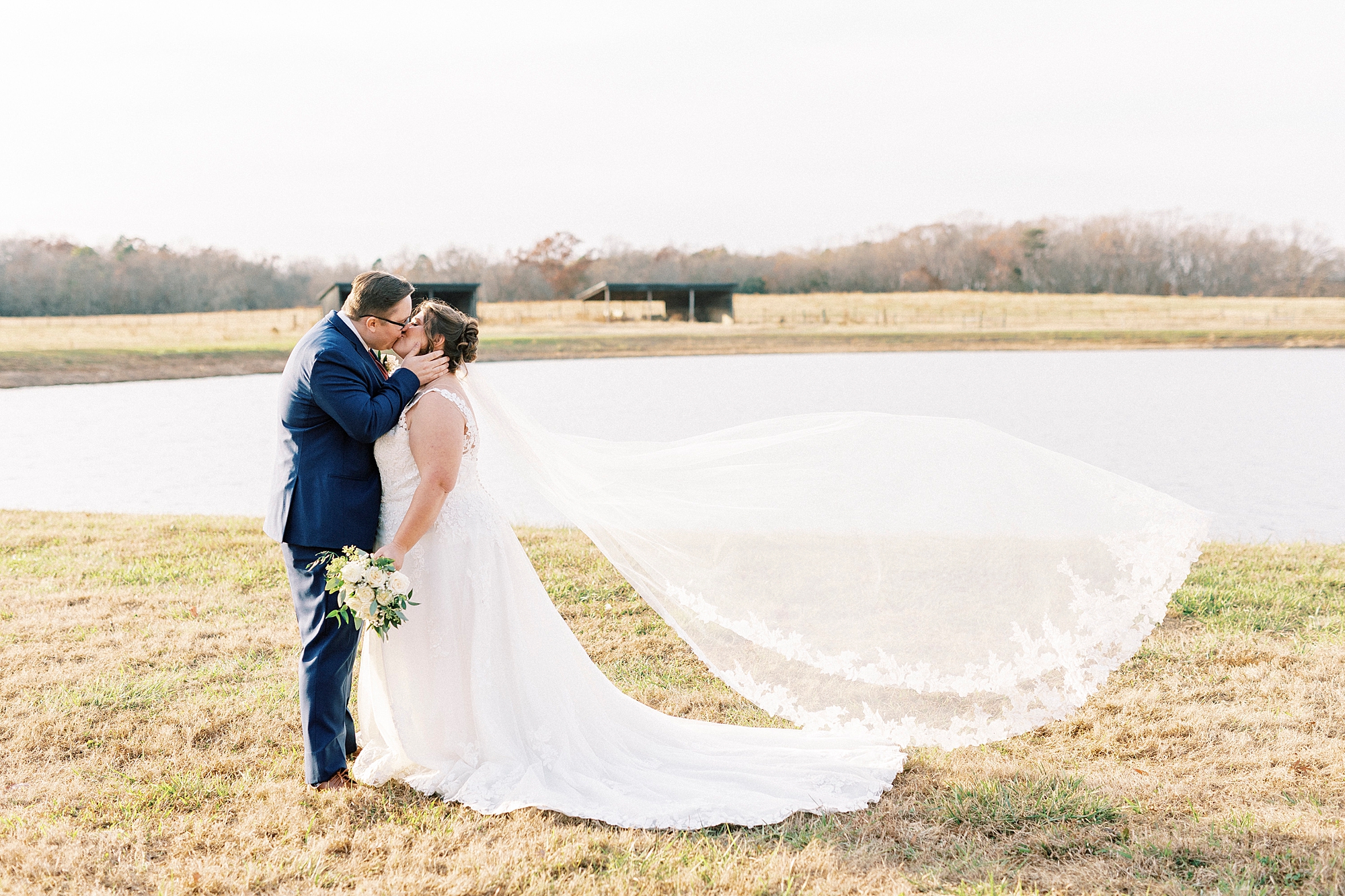 newlyweds kiss with bride's veil floating behind them in front of pond and cows