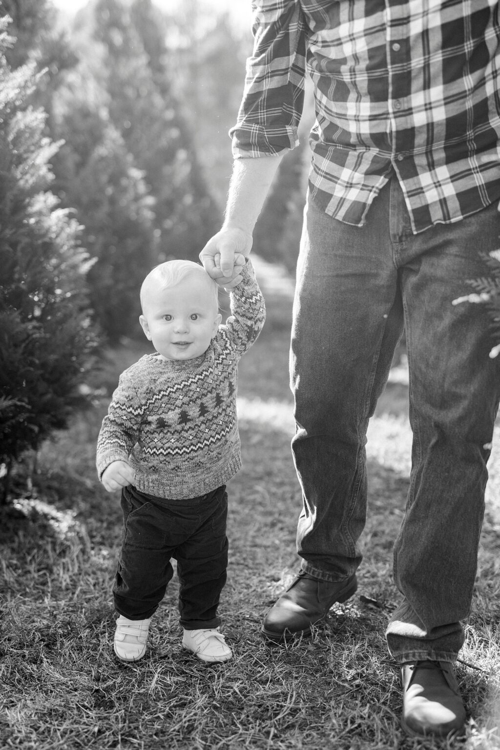 Holiday Mini Sessions at Penland Christmas Tree Farm