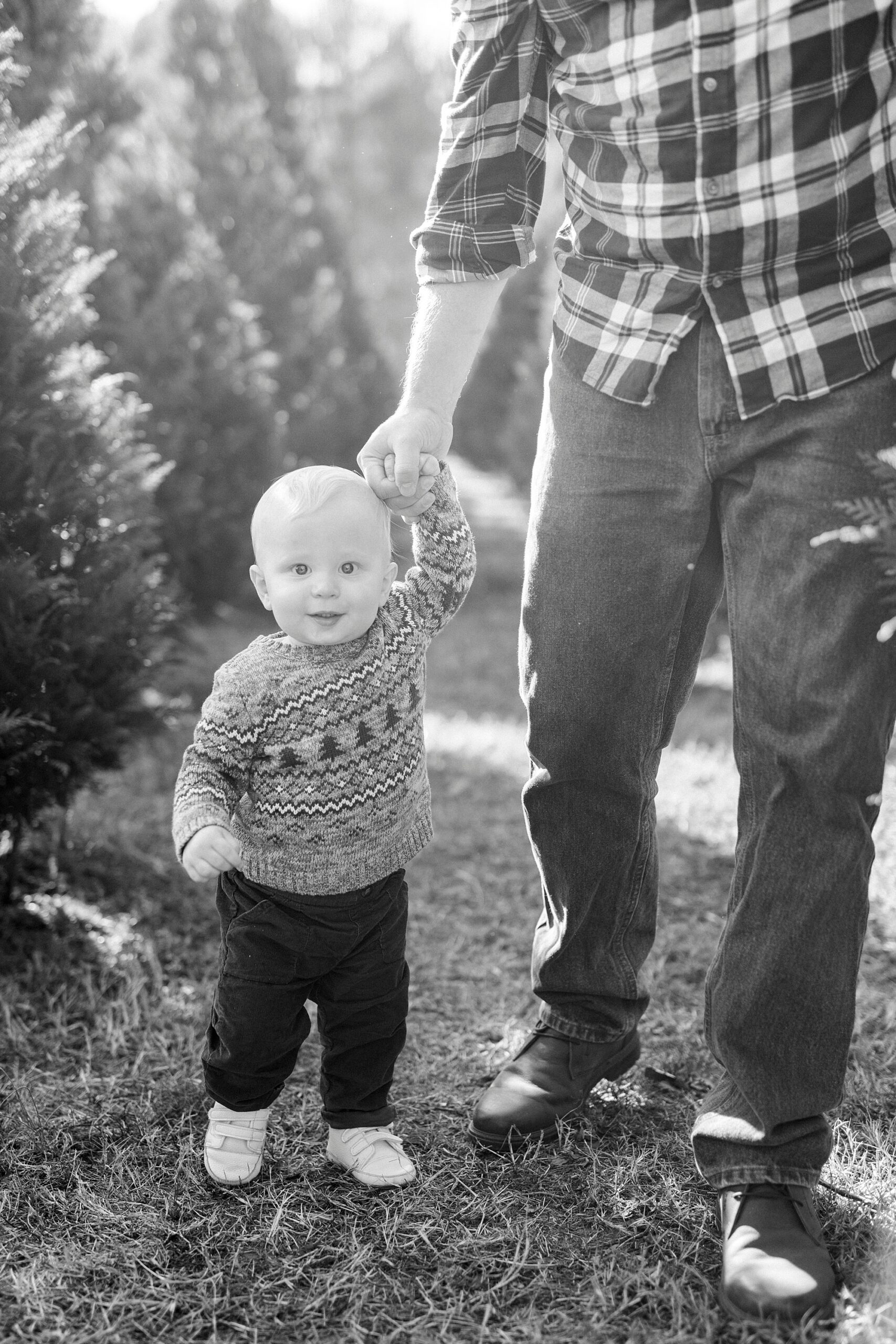 dad holds toddler's hand walking through row of trees on Christmas tree farm