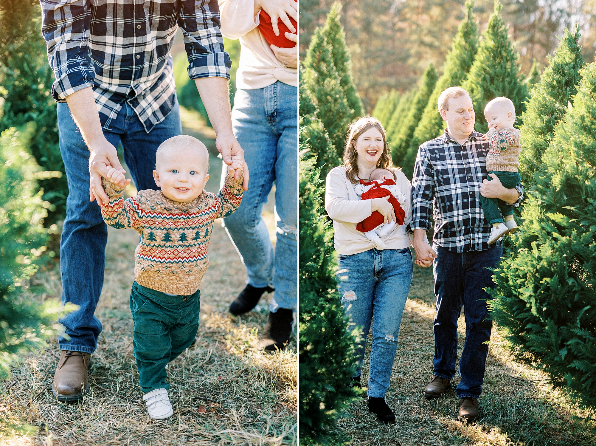 parents walk through row of tress with toddler during Penland Christmas Tree farm mini sessions 