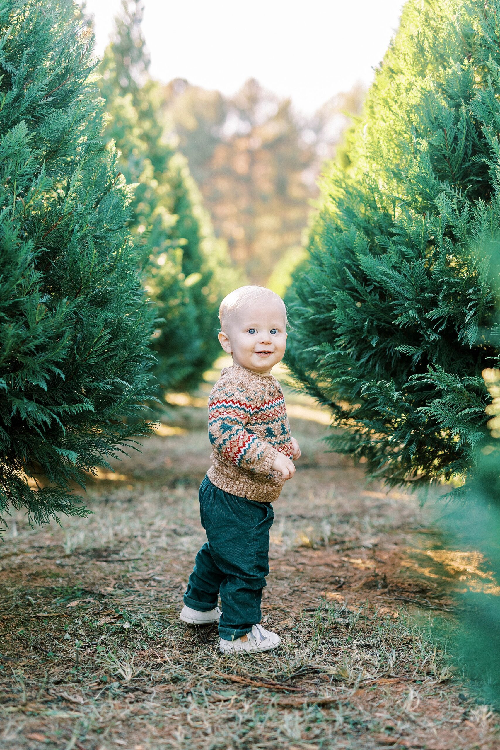 toddler in brown sweater runs through a row of Christmas trees