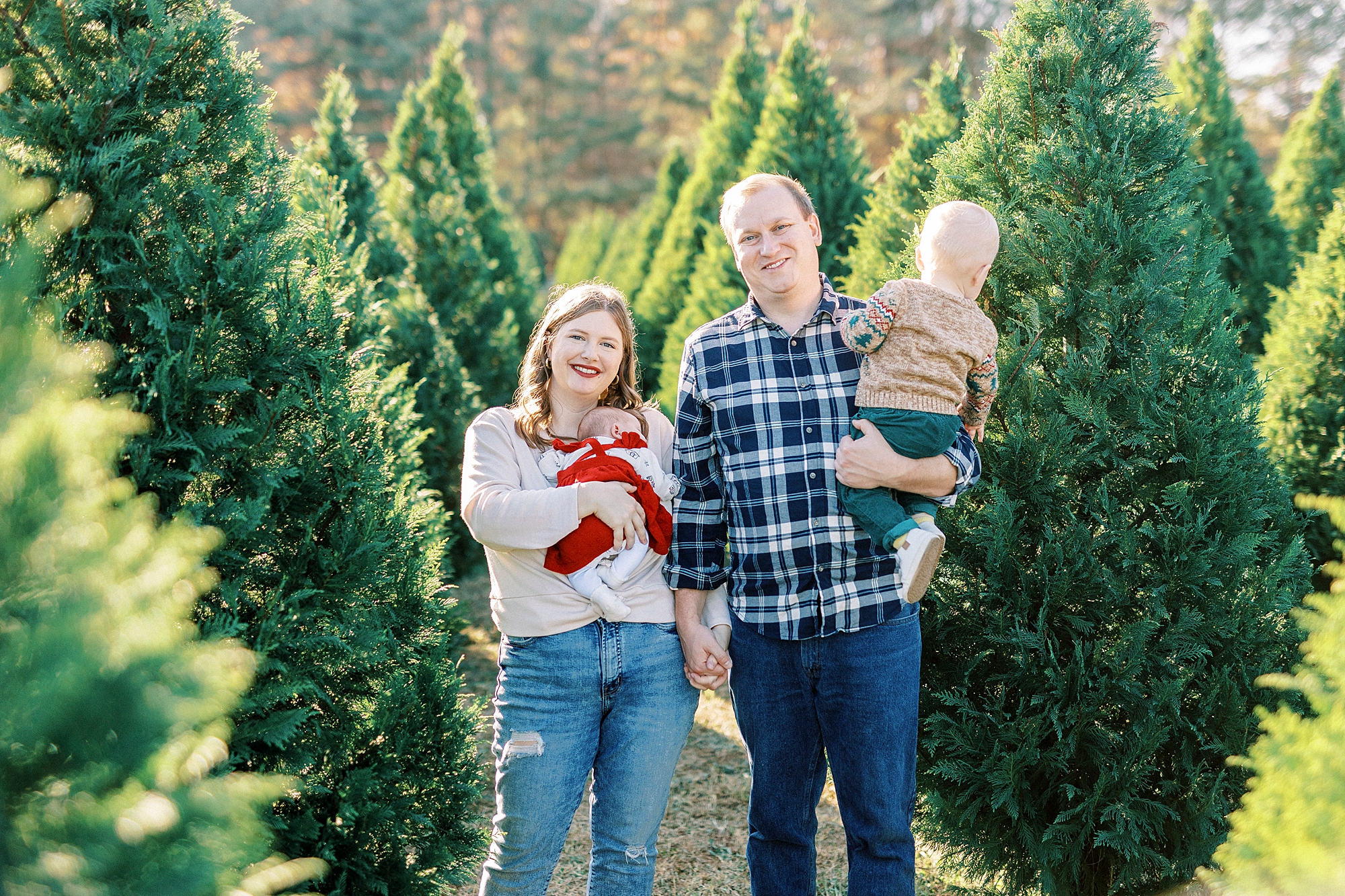 parents stand between rows of trees holding toddler son and new baby girl