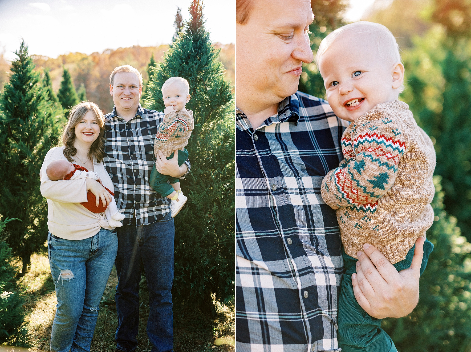 dad holds son on his hip while hugging wife and baby girl during Penland Christmas Tree farm mini sessions 