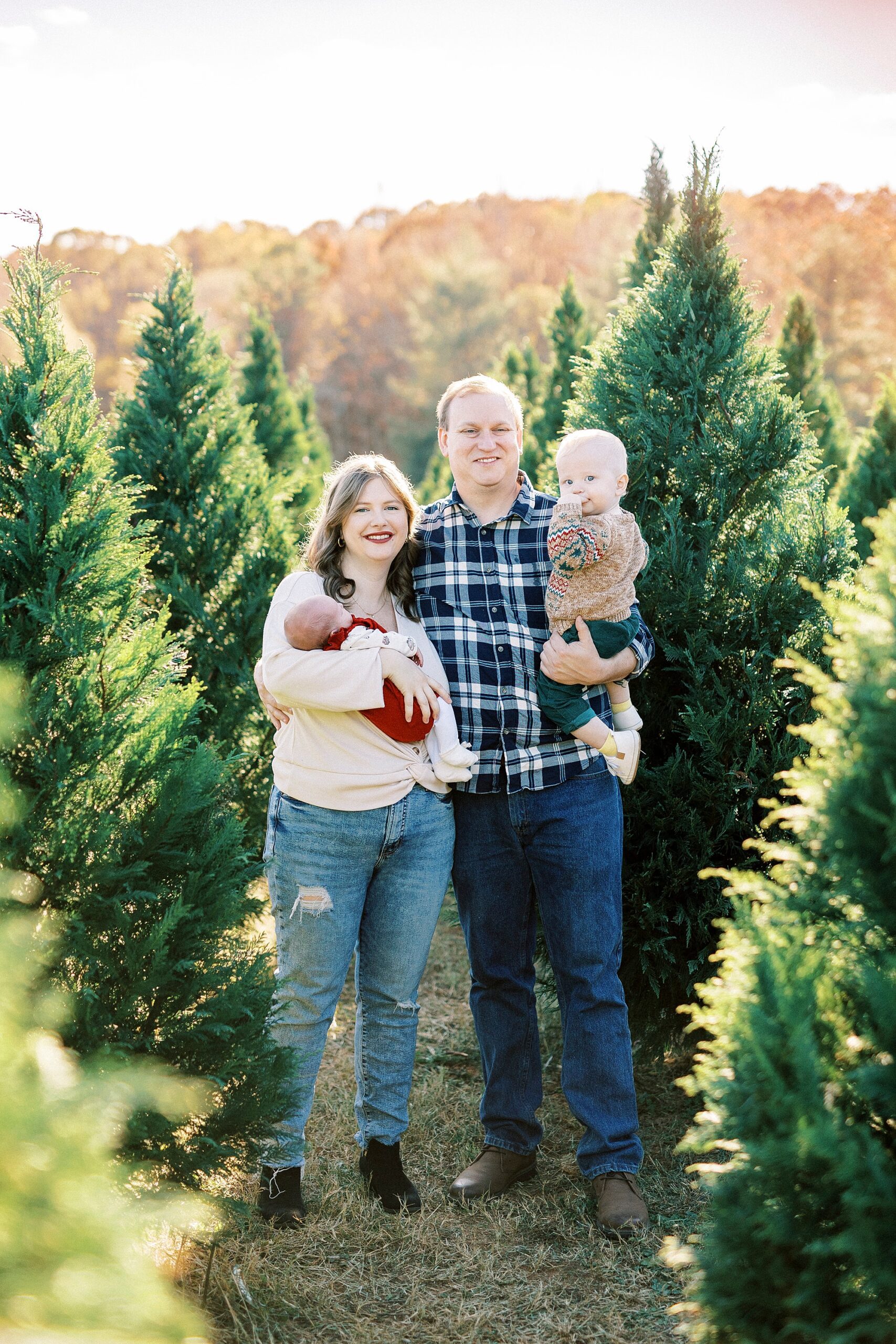 family of four stands in front of Christmas trees during Penland Christmas Tree farm mini sessions 