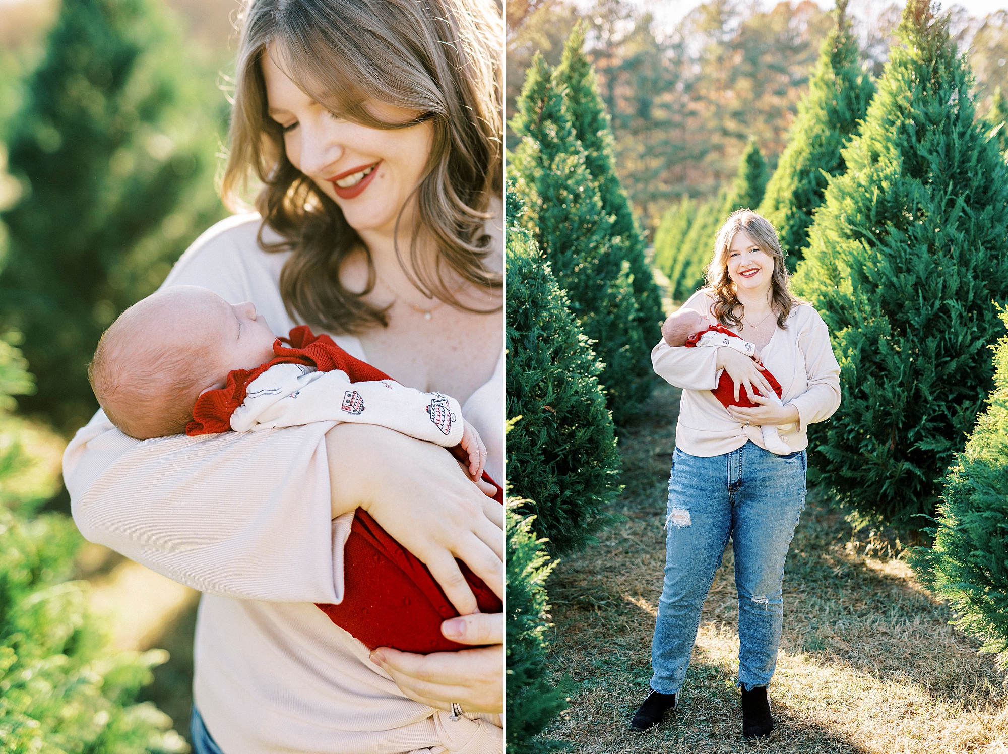 mom in white sweater holds baby girl in red dress during Penland Christmas Tree farm mini sessions 