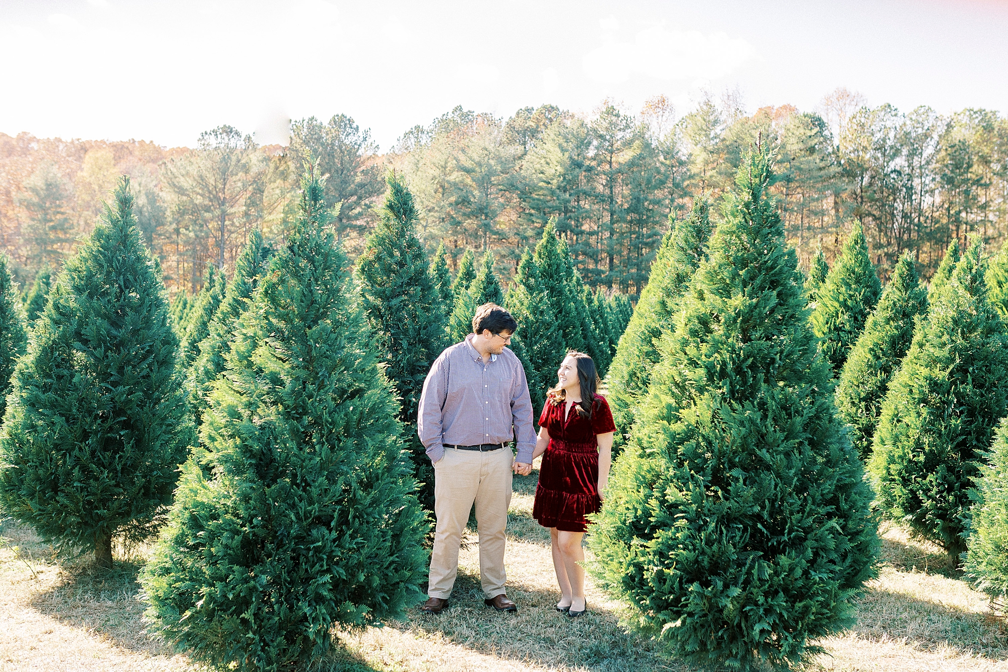 engaged couple holds hands walking through trees during holiday mini sessions at Penland Christmas Tree Farm
