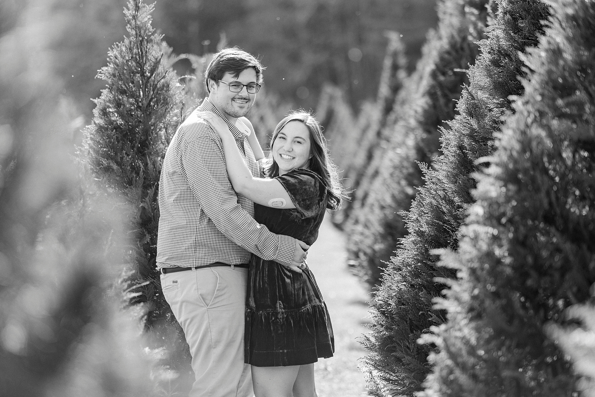 woman hugs man around neck between trees during mini sessions at Penland Christmas Tree Farm