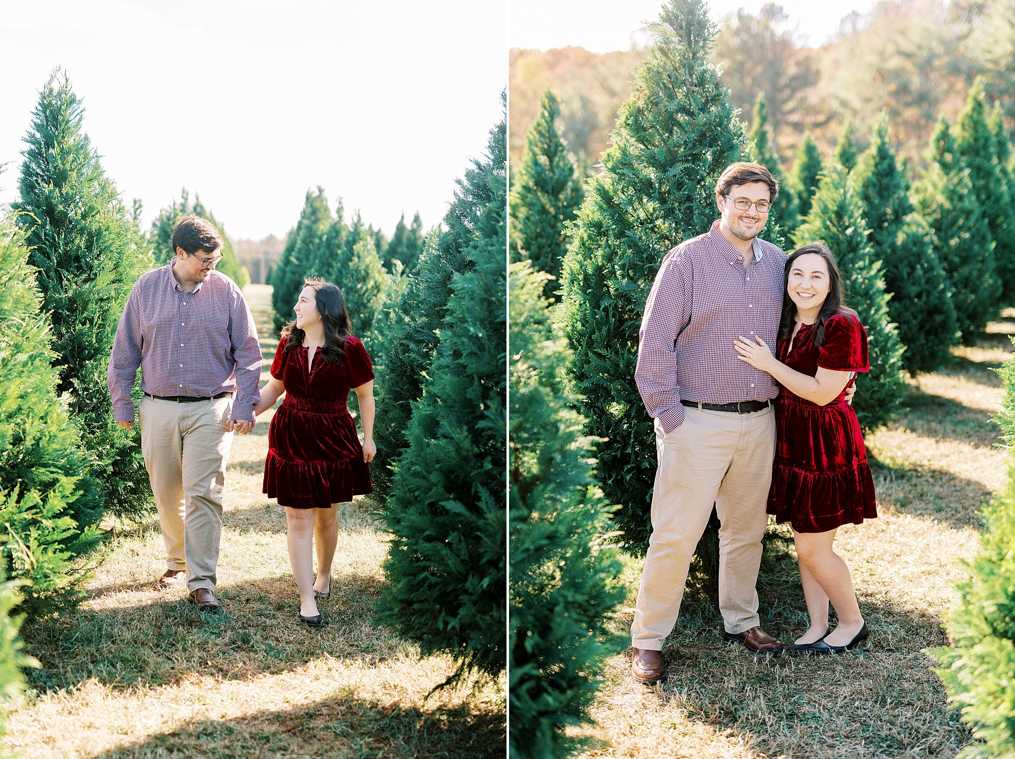 woman in red velvet dress hugs fiancee between Christmas trees during mini sessions at Penland Christmas Tree Farm