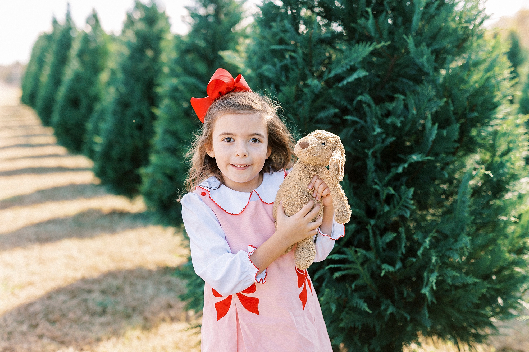 girl in pink and red dress holds teddy bear during mini sessions at Penland Christmas Tree Farm