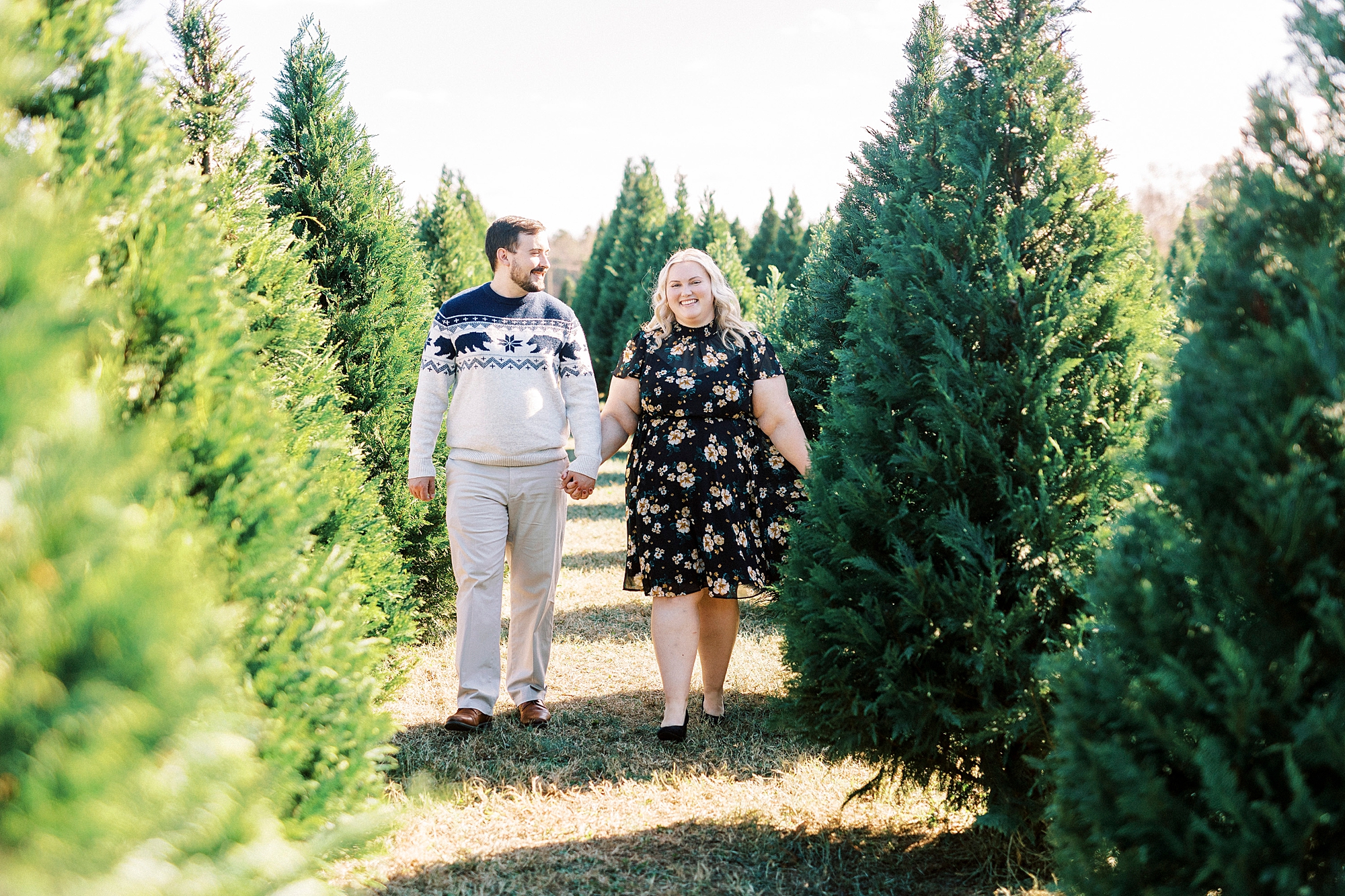engaged couple holds hands walking through trees during holiday mini sessions at tree farm