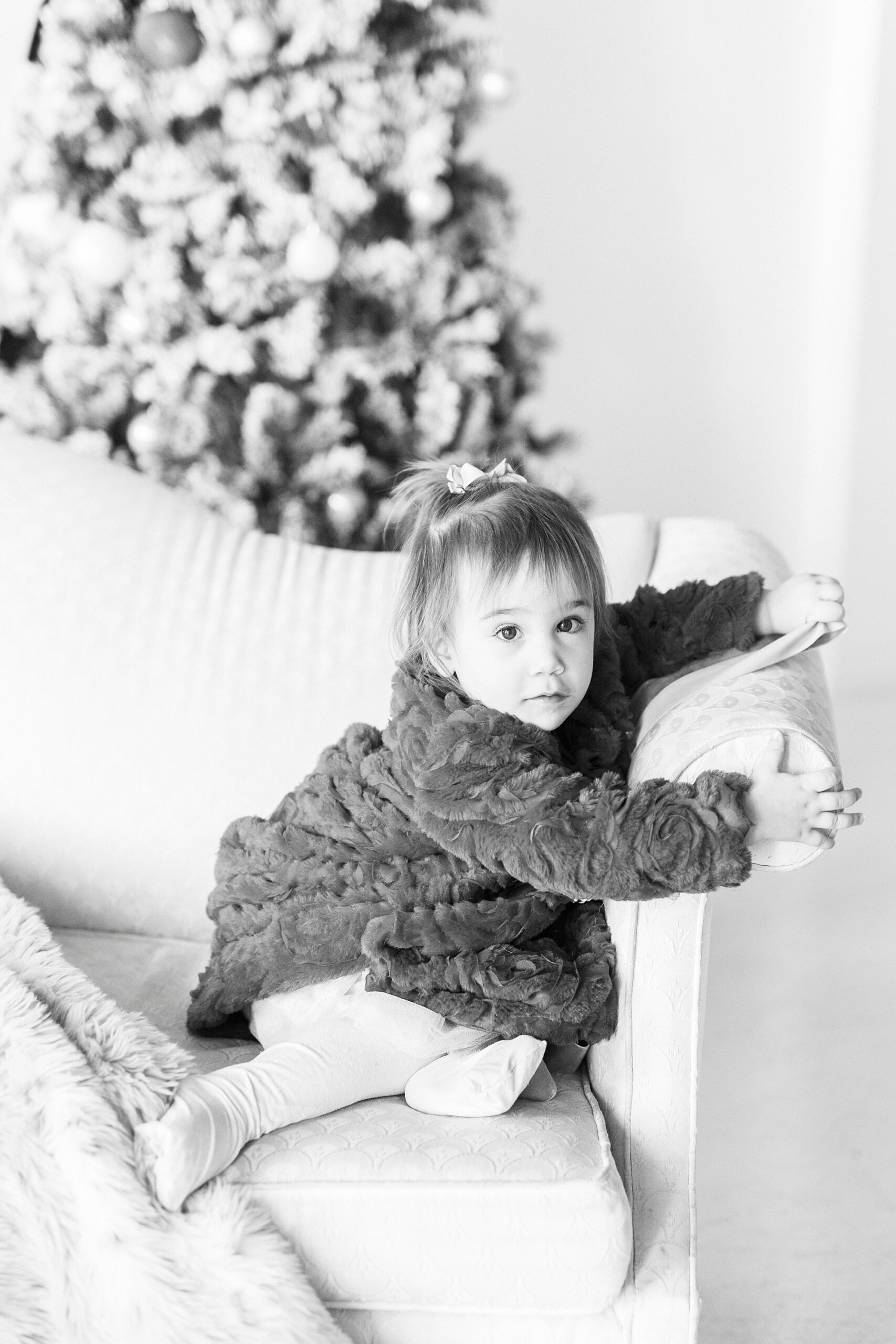 girl climbs on couch during Christmas portraits in Downtown Concord studio