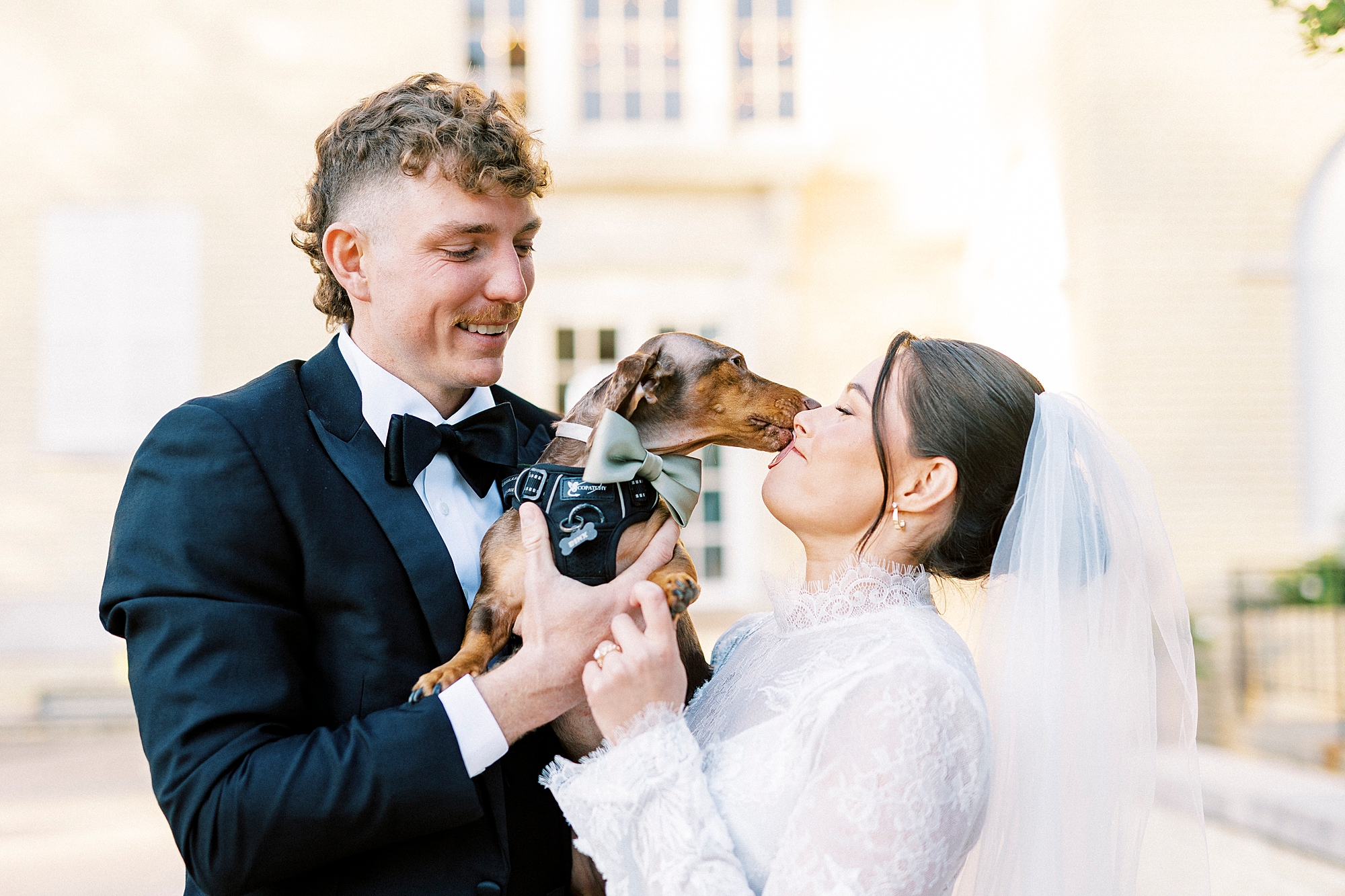 bride and groom hug Weiner dog between them while he kisses bride's cheek